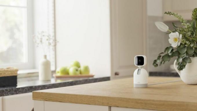 Roku Indoor Camera 360 SE לעומת מצלמת Mini Pan-Tilt Blink