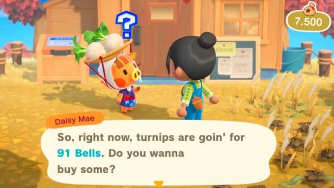 Animal Crossing: Targ łodyg New Horizons Daisy Mae