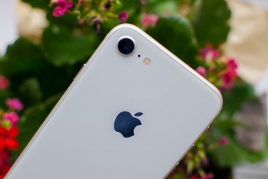 Apple iPhone 8 revisión flores