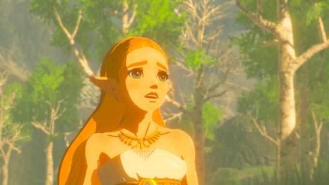 Crítica de The Legend of Zelda Breath of the Wild