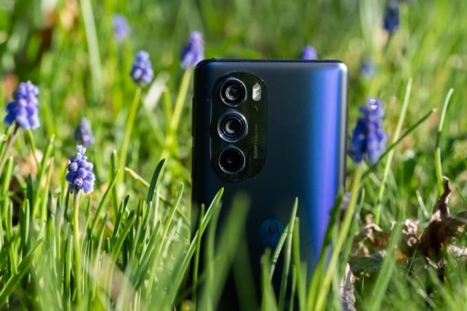 Motorola Edge+ (2022) dans un champ de fleurs de jacinthes.