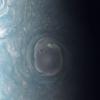 ジュノーが撮影した木星の雲頂の豪華な画像