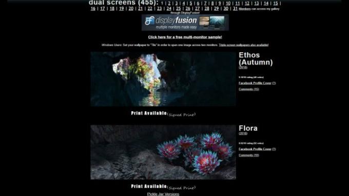 Zrzut ekranu strony internetowej Digital Blasphemy przedstawiający dwie dostępne tapety: Ethos (jesień) i Flora.