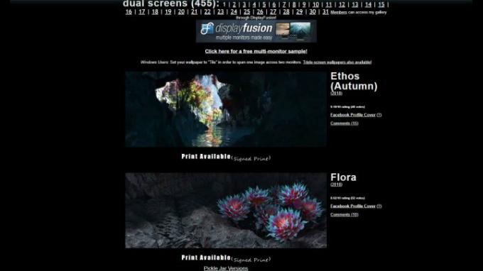 Digital Blasphemy-webstedets skærmbillede, der viser to af dets tilgængelige tapeter: Ethos (efterår) og Flora.