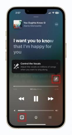 Воспроизведение песни с помощью Apple Music Sing.