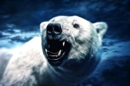 북극곰 공격에서 사람을 구한 휴대전화