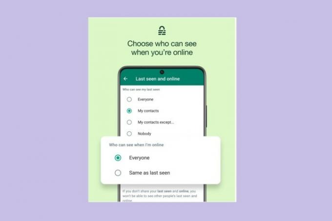 Snímka obrazovky mobilu WhatsApp zobrazujúca funkciu ochrany osobných údajov online stavu.