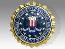 FBI aresztuje 24 osoby po użądleniu karty kredytowej w Internecie