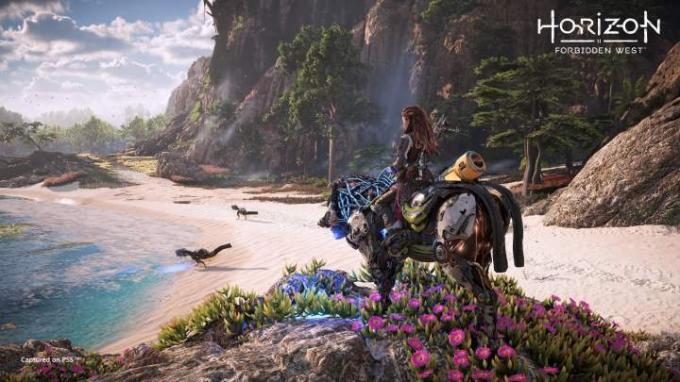 Aloy observa uma praia em Horizon Forbidden West.