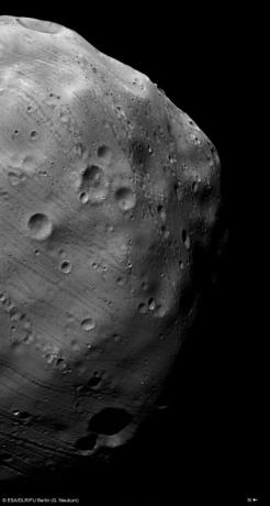 Immagine HRSC di Mars Express di Phobos, scattata il 7 marzo 2010.