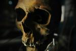 Fedezze fel egy 500 éves ács tengerész koponyáját