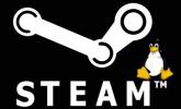 Steam per Linux entra ufficialmente nel beta testing