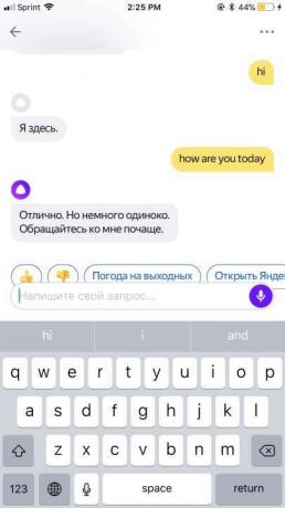 ataque ao aplicativo Yandex 2