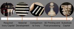 Jauns 3D drukāts ziloņkauls varētu palīdzēt ierobežot malumedniecību