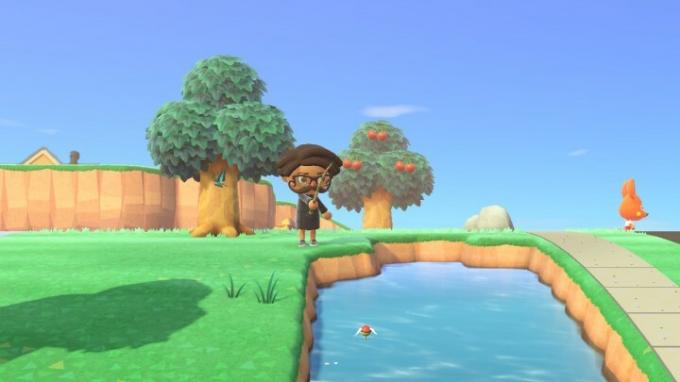 Kalan pyynti Animal Crossing: New Horizonsissa.