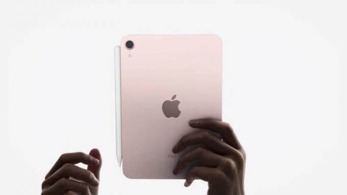 Povsem nov roza iPad mini.