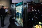 LG esitleb Koreas ja USA-s uusi lamedaid OLED-telereid