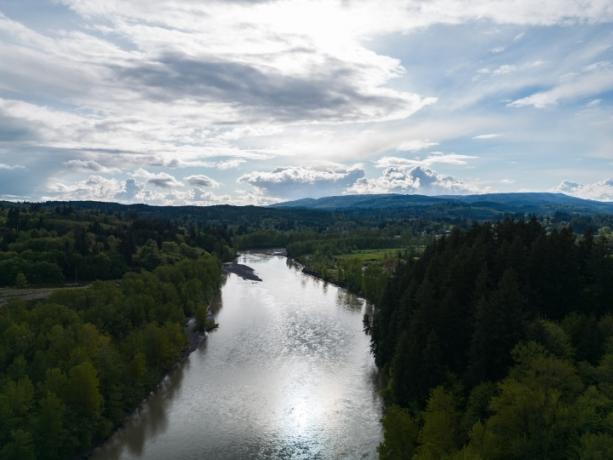 En flod gennem et skovklædt landskab.