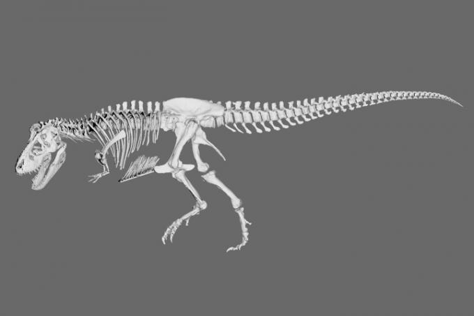 3D-gengivelse af en tyrannosaurus rex før 3D-print