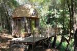 Cea mai populară închiriere de la Airbnb din lume este o cabină din California