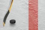 NHL Team Airs Simulated Hockey Game til at erstatte rigtige