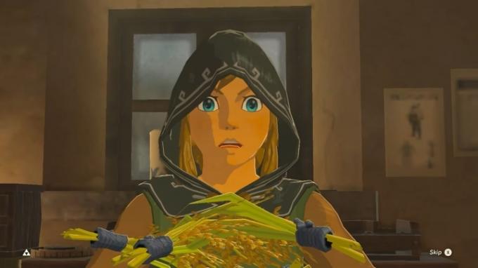 Link izgleda šokirano in drži riž.
