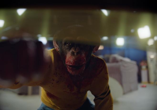 『Nope』のシーンで、チンパンジーのゴーディがテーブルの下を覗いています。