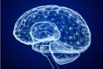 Otak diretas untuk melawan penyakit mental, mengamati emosi