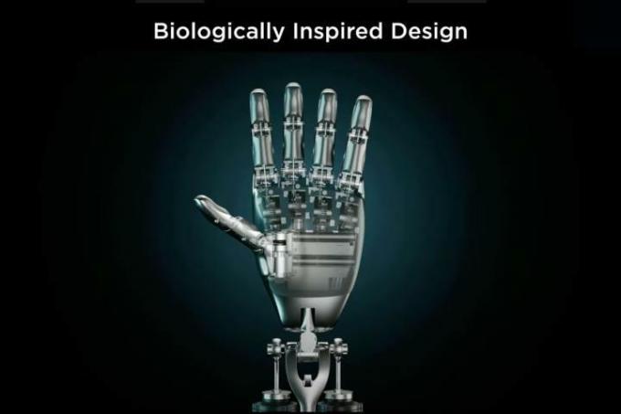 تصميم اليد أوبتيموس من تسلا مستوحى من الناحية البيولوجية.