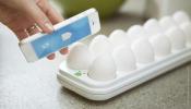 Egg Minder padėklas leidžia nuotoliniu būdu patikrinti kiaušinių šviežumą
