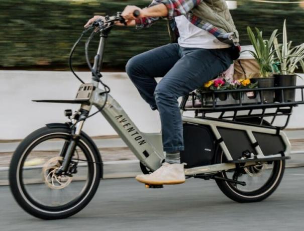 Jinete de Aventon Abund con plantas y artículos comprados en la tienda en la carretera.