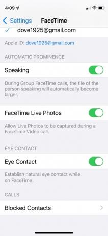 FaceTime на iPhone с экранными настройками.