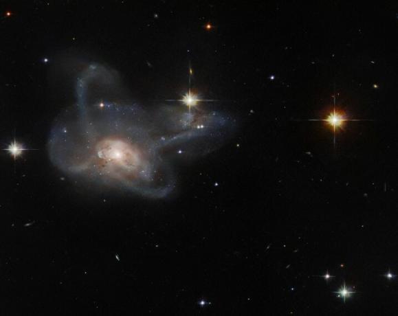 Obserwacje za pomocą Kosmicznego Teleskopu Hubble'a NASAESA uchwyciły galaktykę CGCG 396-2, niezwykłą wieloramienne połączenie galaktyk, które leży około 520 milionów lat świetlnych od Ziemi w konstelacji Orion.
