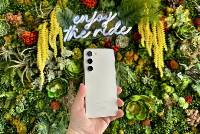 Samsung Galaxy S23 tenu en main sur fond floral vert