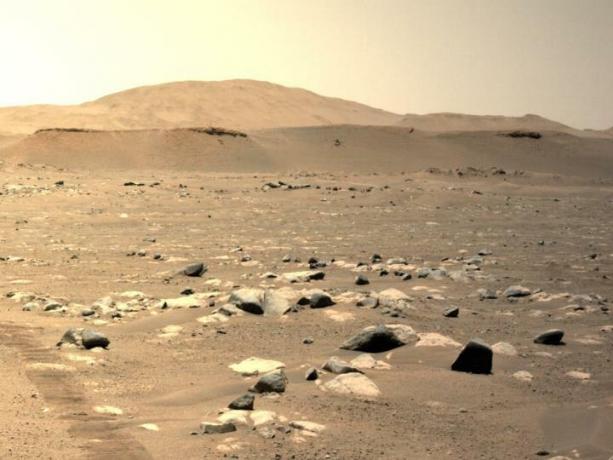 Nasin helikopter Ingenuity Mars je mogoče videti med lebdenjem med svojim tretjim letom 25. aprila 2021, kot ga vidi leva navigacijska kamera na Nasinem roverju Perseverance Mars.