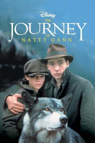 A jornada de Natty Gann