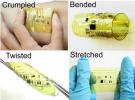 伸縮性とリサイクル可能なデバイスがウェアラブルの未来となる可能性