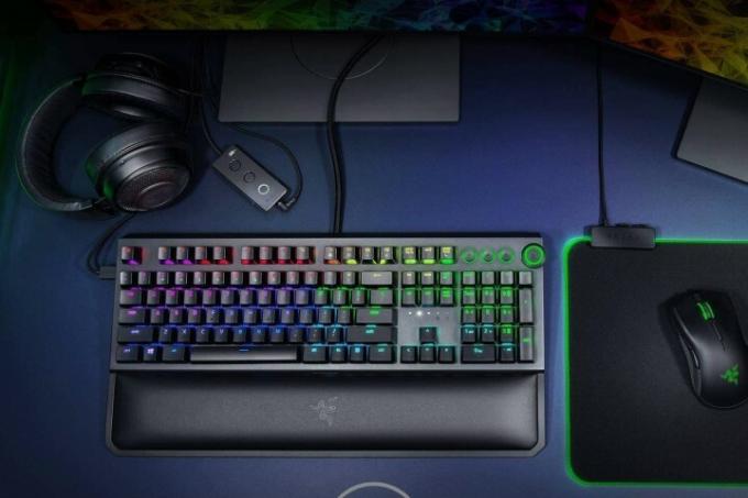 Die Razer BlackWidow Elite.