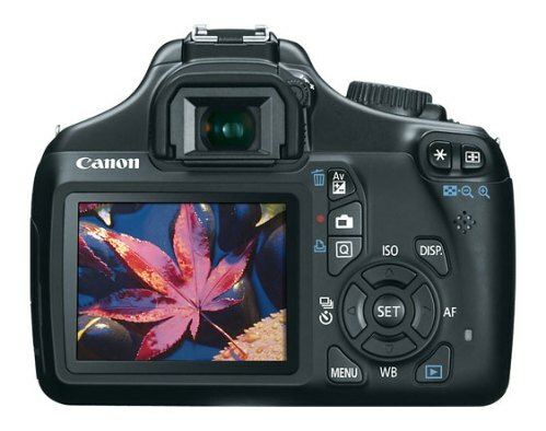 תצוגה אחורית של Canon EOS Rebel T3