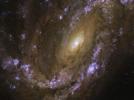 Hubble fanger eksplosiv galakse, stedet for tre nyere supernovaer
