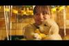 Om du behöver ett gott gråt, titta på den "gladare" musikvideon av Marshmello och Bastille