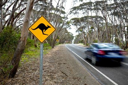 Volvo zelfrijdende auto kangoeroe 49585964 bord op een weg op het eiland Australië