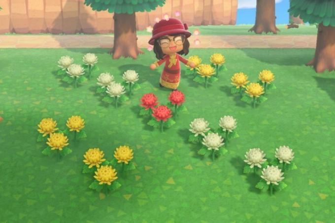 Animal Crossing New Horizons Flores Híbridas