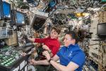Vetenskapliga höjdpunkter från ISS 2021