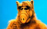 Sony Pictures animācija: Alfs ir atgriezies filmas formā