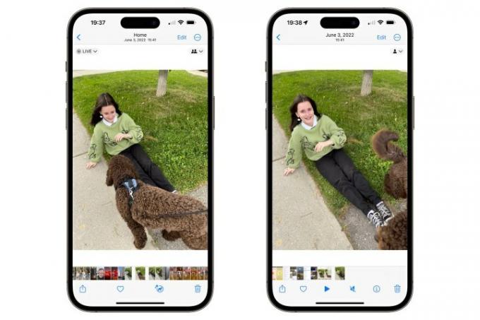 Два iPhone, показващи приложението Photos с Live Photo и Live Photo, преобразувани във видео.