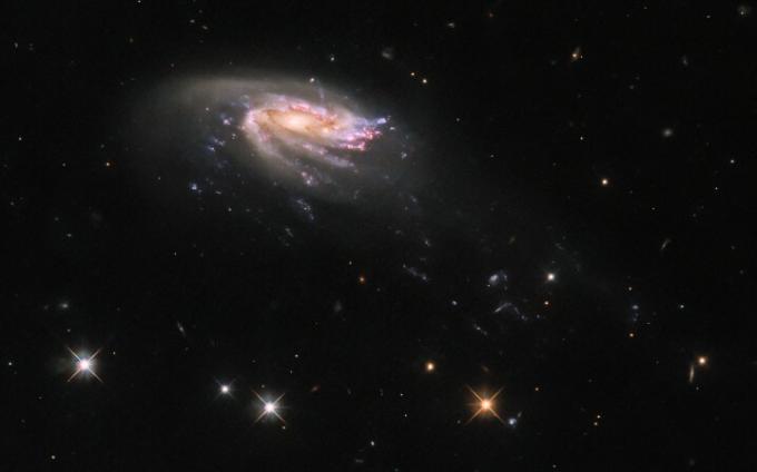 Galaksija meduza JO206 prati ovu sliku NASAESA Hubble svemirskog teleskopa, prikazujući šareni disk koji stvara zvijezde okružen blijedim, svjetlucavim oblakom prašine. Pregršt svijetlih zvijezda u prednjem planu s isprepletenim difrakcijskim šiljcima ističe se na crnoj pozadini na dnu slike. JO206 nalazi se preko 700 milijuna svjetlosnih godina od Zemlje u zviježđu Vodenjaka.