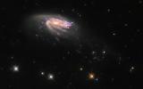A imagem da semana do Hubble mostra uma galáxia incomum de água-viva