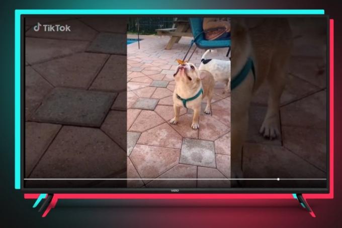 TikTok TV-App auf einem Vizio-Fernseher gesehen.