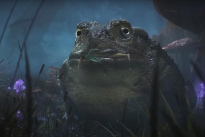 Un crapaud de Fable 4 mange une fée. 